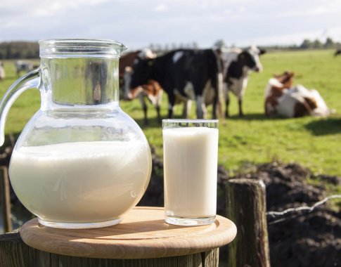 Kodėl superkamas pienas pigesnis už vandenį?