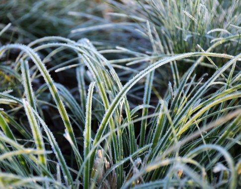 Šio ryto šalna: spalį būta net ir –19,5 °C