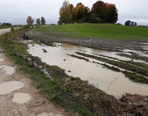 Įmirkęs dirvožemis sukels problemų net ir žiemą