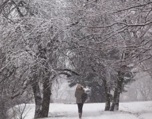 Viduržiemį atėjo įprasta lietuviška žiema