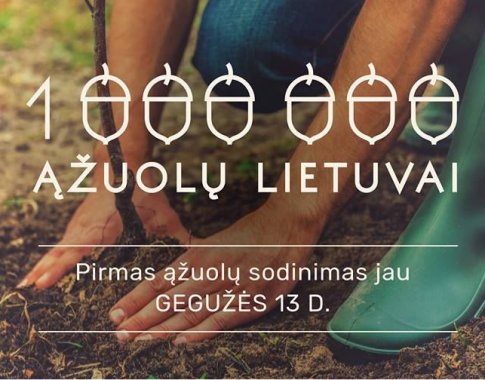 „Milijonas ąžuolų Lietuvai“. Startas - jau šį sekmadienį