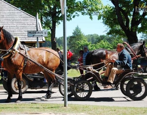 Nemokamų savaitės renginių gidas