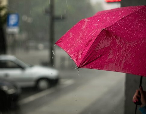 Audrų padaroma žala kerta per kišenę draudimų bendrovėms