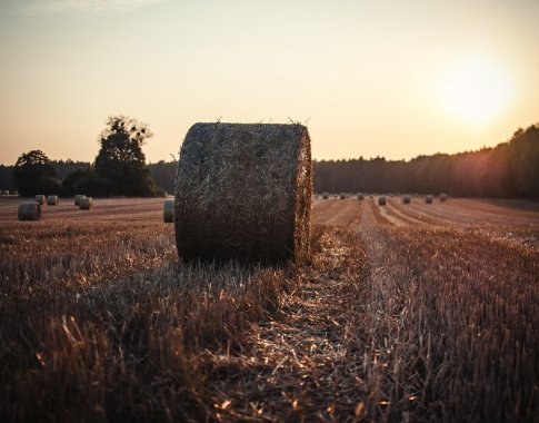 Ūkininkams bus skirta beveik 30 mln. eurų paramos