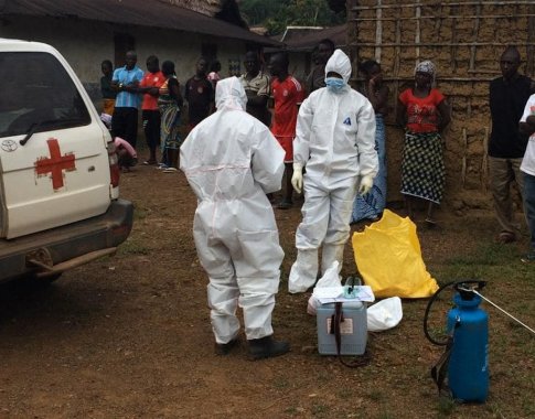 Pasaulinė sveikatos organizacija dėl Ebolos svarsto skelbti ekstremalią padėtį