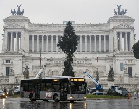 Italai vėl nepatenkinti Kalėdų egle Romos centre