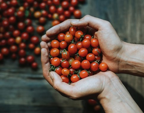 Patarimai sodininkams: kaip padidinti pomidorų derlingumą?