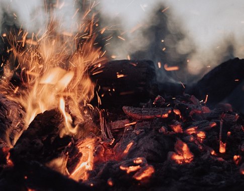 Miškininkai perspėja – ugnis iš pievų netrunka persimesti į miškus