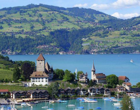 Šveicarijoje gerovė užtikrinama net jūrų kiaulytėms