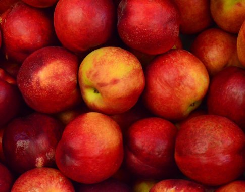 Dėl pavasarinių šalnų obuolių ir uogų perdirbimui supirkta beveik 4 kartus mažiau Dėl pavasarinių šalnų obuolių ir uogų perdirbimui supirkta beveik 4 kartus mažiau