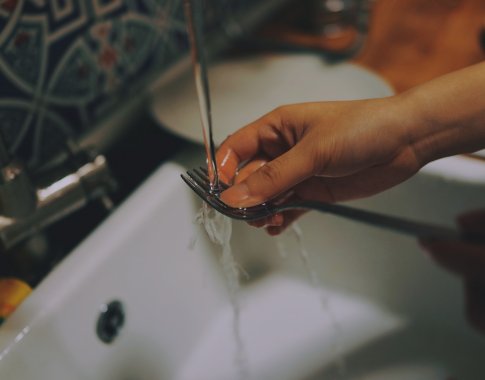 Kas indus plauna švariau: jūs ar indaplovė?