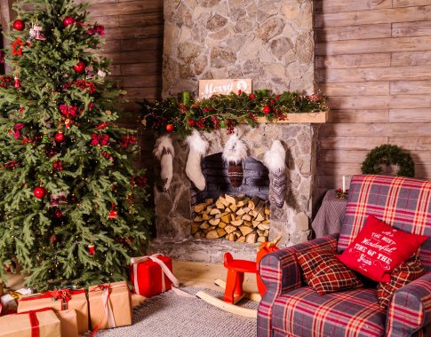 Belaukiant švenčių: kaip išsirinkti ir prižiūrėti kalėdinę eglutę?