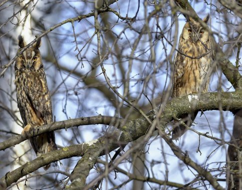 JT ekspertai: mažiausiai 30 proc. Žemės paviršiaus turi tapti draustiniais