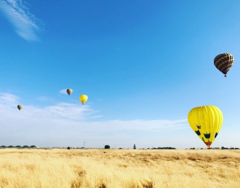 Meteorologai: ateinantis penkmetis Žemėje bus šilčiausias istorijoje