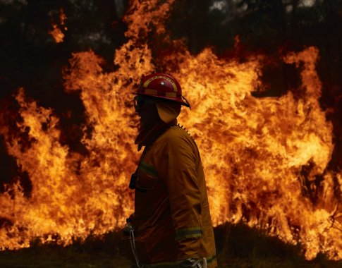 Australijos krūmynų gaisrai paveikė tris ketvirtadalius gyventojų