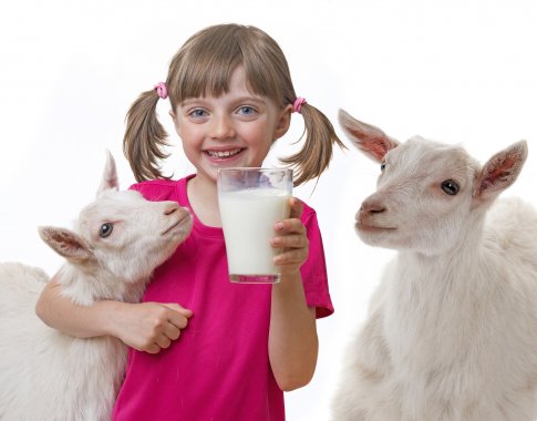 Sveikatos lobynas: gydomosios ožkų pieno savybės