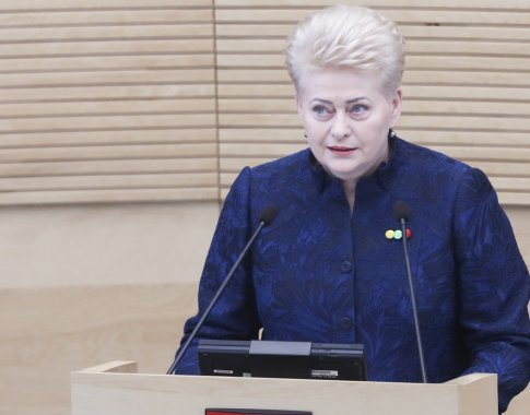 D. Grybauskaitė: klaidų darymas suprantamas, tačiau jų neigimas – nusikalstamas