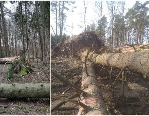 Stipriausios audros Lietuvoje: negaili nei gamtos, nei žmogaus