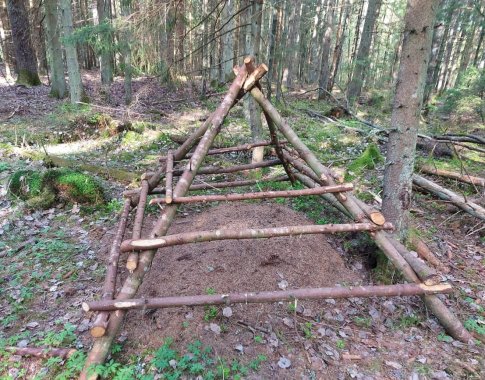 Miškininkai šiemet aptvers 1 400 skruzdėlynų – miško sanitarių buveinių