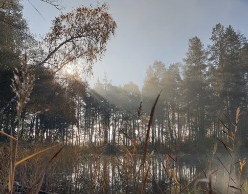 Laiką leidžiame lauke: 6 patarimai, kaip fotografuoti gamtą