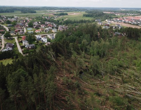 Miškininkai Nemenčinėje pradėjo tvarkyti audros nusiaubtą 4 hektarų miško plotą