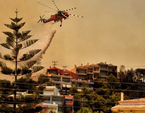 Netoli Graikijos miesto Korinto įsiplieskė miško gaisras