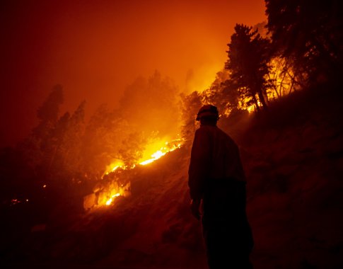 JAV vakaruose siaučiančių gaisrų dūmai jau pasiekė Europą