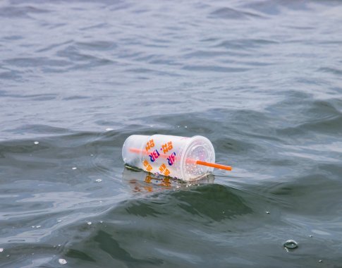 Vokietija iki 2021 metų vidurio uždraus plastikinius šiaudelius