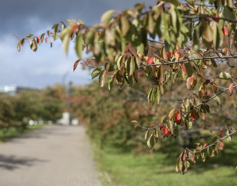 Orai nuo sekmadienio subjurs – bus drėgni ir vėjuoti