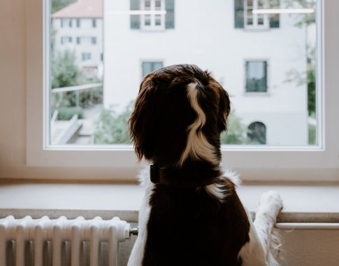 Šildymo sezonas jau čia: kokie sprendimai padės šildymą kontroliuoti efektyviai?