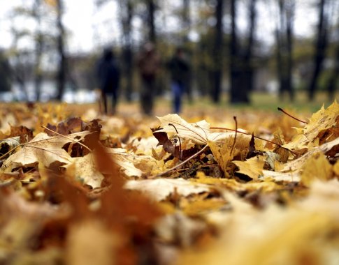 Praėjęs spalis – šilčiausias Europoje per dešimtmečius