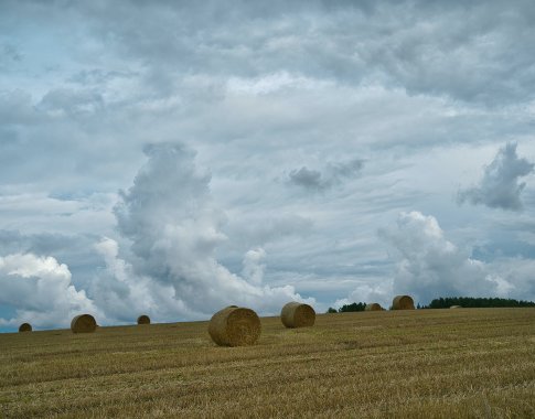 Vėjo elektrinės ir žemdirbystė: ką reikia žinoti ūkininkams?