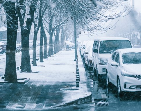 Įvertino arktinę žiemą: šaltis ir trumpi atstumai automobilį išspaudė tarsi citriną
