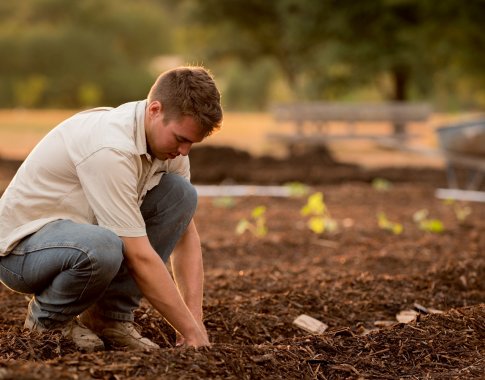 Priminimas sodininkams ir daržininkams – pats metas pasiskiepyti nuo stabligės