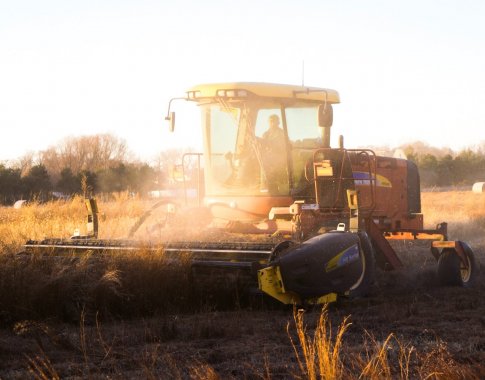 Įvertino siūlymą dėl tiesioginių išmokų lubų: tai būtų žingsnis teisingumo kryptimi Įvertino siūlymą dėl tiesioginių išmokų lubų: tai būtų žingsnis teisingumo kryptimi