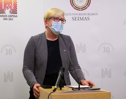 I. Šimonytė sukritikavo prezidento siūlymą didinti NPD: tokie keitimai metų viduryje turi mažai pridėtinės vertės I. Šimonytė sukritikavo prezidento siūlymą didinti NPD: tokie keitimai metų viduryje turi mažai pridėtinės vertės