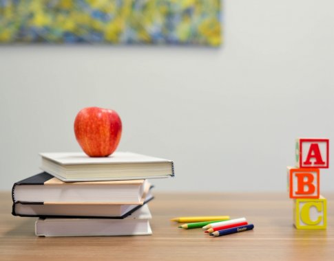 Mokykloms suteikiama daugiau laisvės organizuojant pradinukų meninį ugdymą Mokykloms suteikiama daugiau laisvės organizuojant pradinukų meninį ugdymą