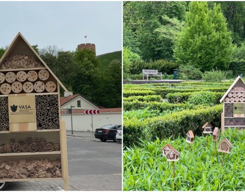 Vilniaus parkuose „išdygo“ nauji vabzdžių viešbučiai