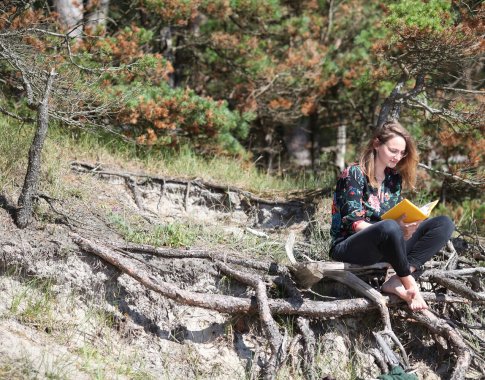 Knyga – madingiausias šių metų vasaros desertas Knyga – madingiausias šių metų vasaros desertas