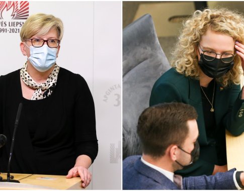 Politologai nesutaria, kas iš valdančiųjų paskubėjo dėl partnerystės įstatymo Politologai nesutaria, kas iš valdančiųjų paskubėjo dėl partnerystės įstatymo
