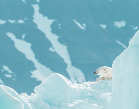 Arkties tyrinėtojas baiminasi dėl klimato atšilimo: „Gal jau praleidome svarbų lūžio tašką“