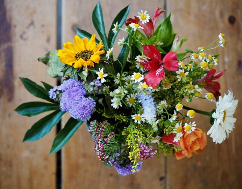 Floristės patarimai, kad skintos gėlės ilgiau žydėtų (video)