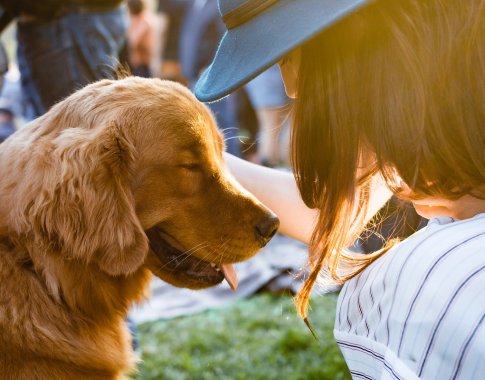 Žmonių ir šunų etiketo ABC: ar galima glostyti svetimus gyvūnus ir kaip tai daryti saugiai?