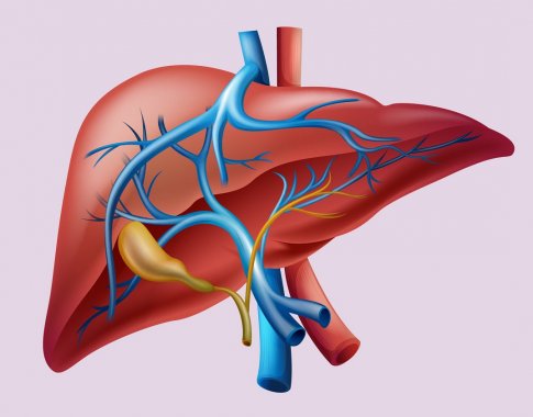 Nuo klastingo hepatito C viruso neapsaugotas nė vienas