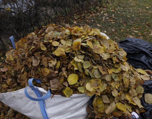 Tinkamiausias žaliųjų sodo ir daržo atliekų tvarkymas – kompostavimas