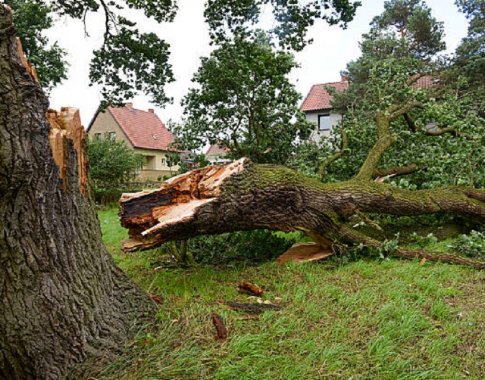 Tiek daug gamtos stichijų sukeltų žalų šalyje dar nėra buvę Tiek daug gamtos stichijų sukeltų žalų šalyje dar nėra buvę