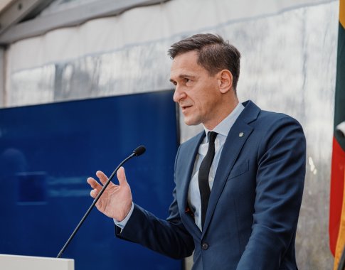 D. Kreivys: ateityje vien pramonei reikės tiek elektros, kiek Lietuva suvartoja dabar D. Kreivys: ateityje vien pramonei reikės tiek elektros, kiek Lietuva suvartoja dabar