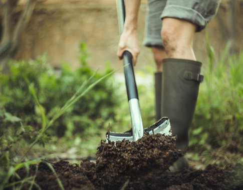 Pavasaris jau čia pat: paruoškite įrankius darbui sode ir darže