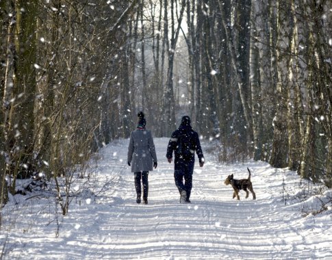 10 tūkst. žingsnių per dieną – daug ar mažai?