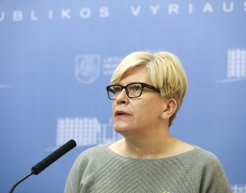 I. Šimonytė: dabar didesnės pagalbos už pagalbą ginklais nėra